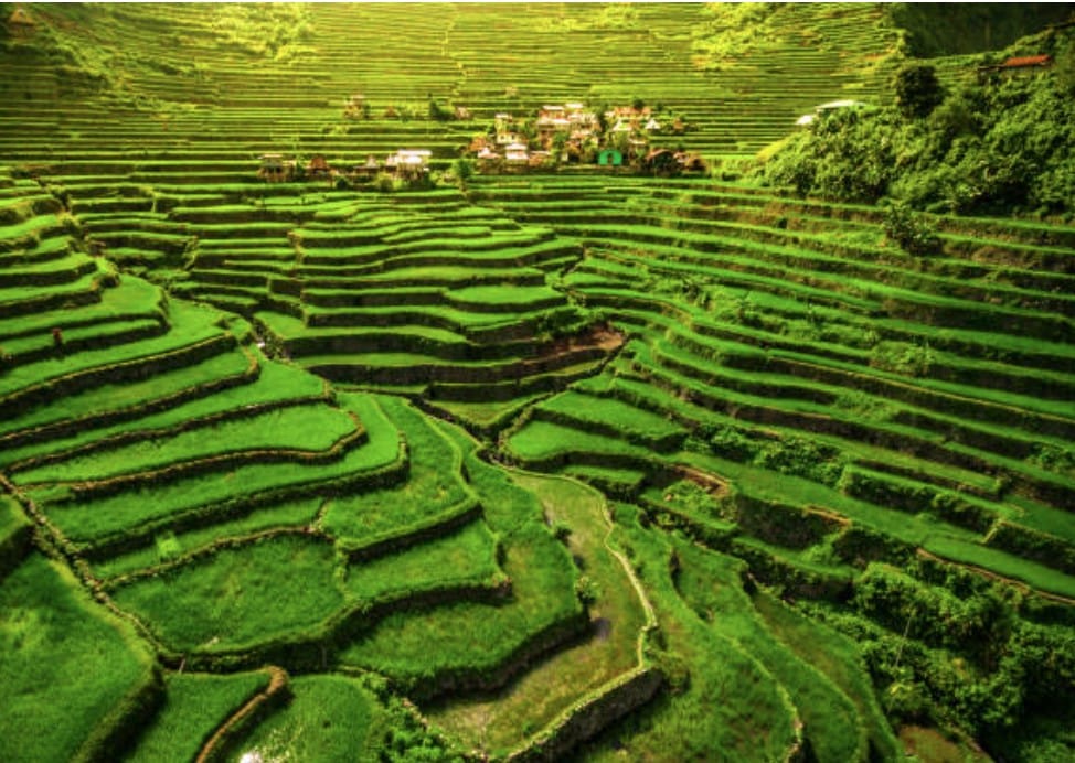 Ancient rice terraces in Northern Luzon